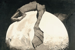 foto: oö landesmuseen 