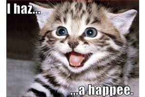 foto: icanhas.cheezburger.com