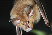 foto: w. metzner