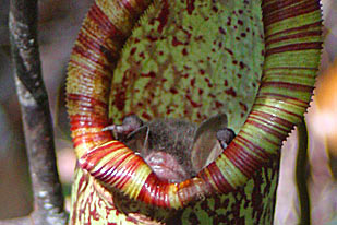 foto: michael gerhard schöner