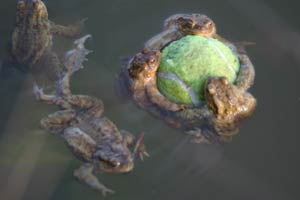 foto: gabriele zenz