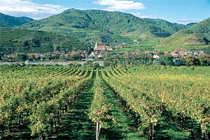 foto: niederösterreich-werbung/lois lammerhuber