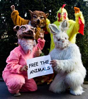 foto: vegane gesellschaft österreich
