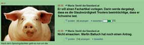 foto: screenshot