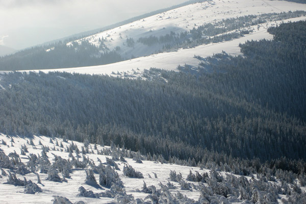 foto: matthias cremer