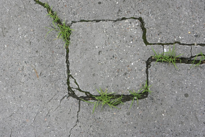 foto: matthias cremer