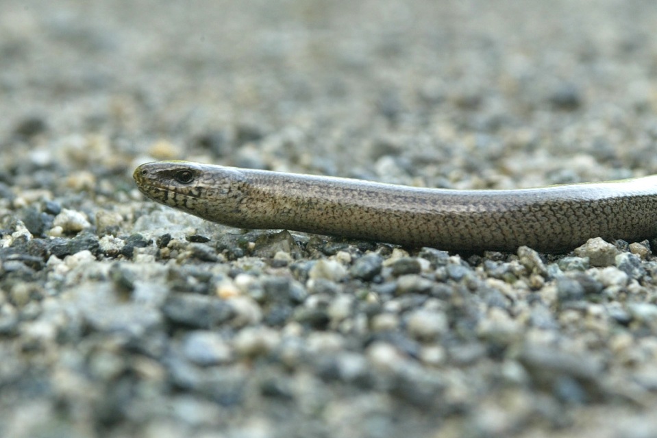 foto: matthias cremer