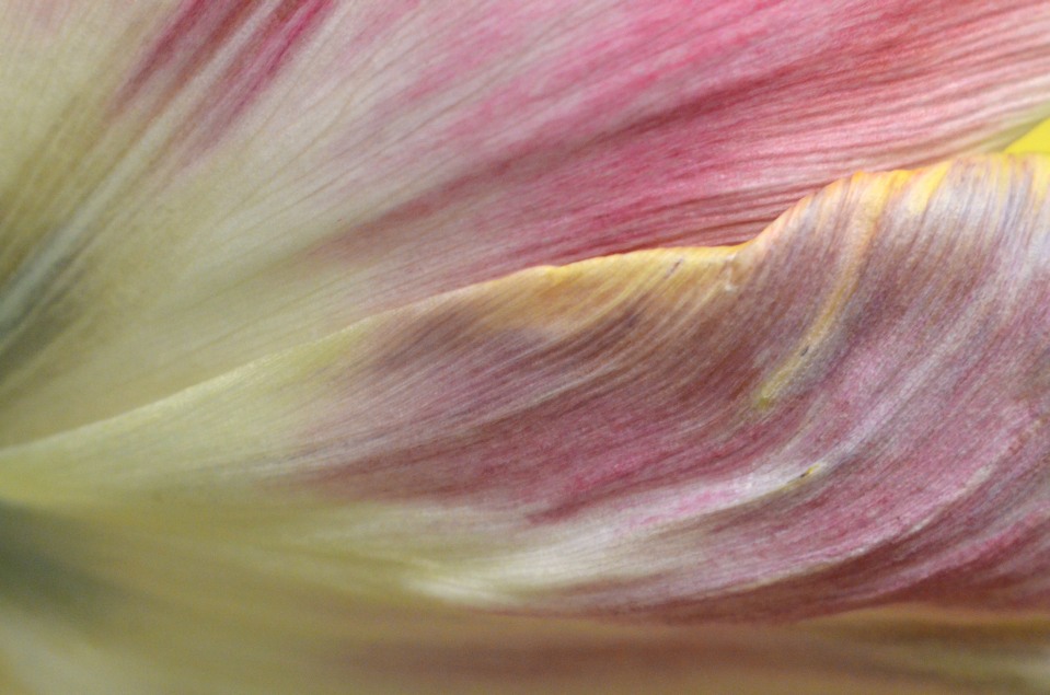 foto: matthias cremer
