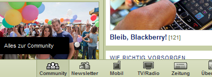 screenshot: derstandard.at
