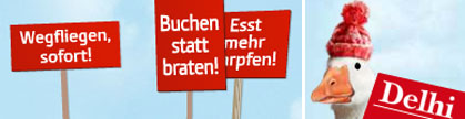 montage, Foto: screenshot
