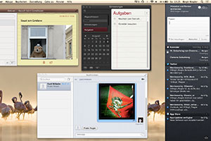 screenshot: birgit riegler