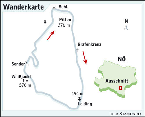 Artikelbild