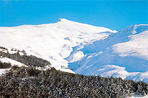 Im Windschatten der verschneiten Gipfel der Sierra Nevada wachsen, dank Mikroklima, tropische Pflanzen. Im Windschatten der verschneiten Gipfel der Sierra Nevada wachsen, dank Mikroklima, tropische Pflanzen.