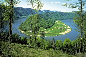 Donauschlinge in Schlögen. Donauschlinge in Schlögen.