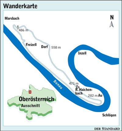 Artikelbild
