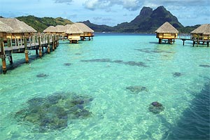 Im Pearl Beach Resort & Spa in Bora Bora sorgt man für Korallennachwuchs in der großartigen Lagune. Im Pearl Beach Resort & Spa in Bora Bora sorgt man für Korallennachwuchs in der großartigen Lagune.