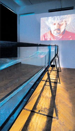 Eine "Honorary Mention" in der Cyber-Arts-Kategorie "Hybrid art" hat Alexander Ponomarevs Beamer/Aquarium-Kombi bekommen. 