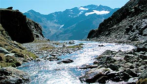 Die Via Alpina ist kein Pilgerweg, sondern ein europ&auml;isches Projekt  im Rahmen der Alpenkonvention, das von Triest bis Monaco nationale Grenzen &uuml;berwindet.