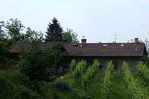 Artikelbild