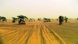 Ist der Tross von hunderten Autos und Motorrädern erst einmal durch, zeugen nur noch die Spuren im Sand von dem gewaltigen Aufwand, der bei der Rallye Paris-Dakar betrieben wird. Foto aus dem Film "7915 km", ab dem 6. März in den österreichischen Kinos.
Ist der Tross von hunderten Autos und Motorrädern erst einmal durch, zeugen nur noch die Spuren im Sand von dem gewaltigen Aufwand, der bei der Rallye Paris-Dakar betrieben wird. Foto aus dem Film "7915 km", ab dem 6. März in den österreichischen Kinos.
