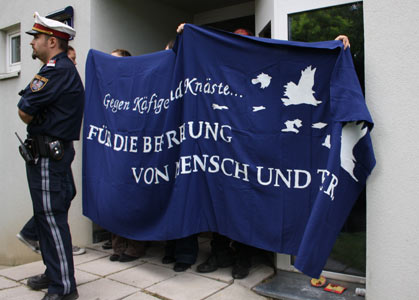 Artikelbild