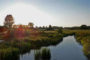Das sogenannte "strenge Schutzgebiet" im Bialowieza-Nationalpark ist nur mit einem Ranger zugänglich. Zurzeit gibt es unter den Parkrangern drei deutschsprachige, die Wanderungen über rund sieben Kilometer und drei Stunden anbieten. Bezahlt wird pro Guide (umgerechnet rund € 40), schließt man sich einer Gruppe an, aliquotiert sich der Preise dementsprechend. Treffpunkt ist das gut gemachte Museum des Nationalparks, das einen ersten Überblick zu Fauna und Flora des Urwalds geben kann. Der Nordpodlassische Bund für Vogelschutz (PTOP) gibt gutes Kartenmaterial für das Gebiet heraus. Nationalparkinfo: www.bialowieza-info.eu