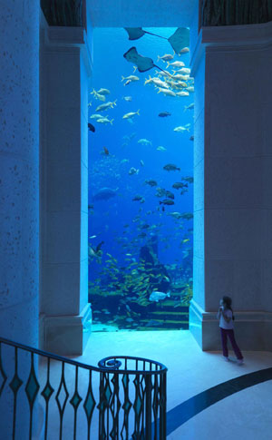 Highlight des Luxuskastens ist das Aquarium mit elf
Millionen Litern Wasser. Highlight des Luxuskastens ist das Aquarium mit elf
Millionen Litern Wasser.