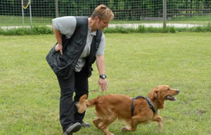 Foto: privat Artikelbild: "An der Vetmed war ich auch Rettungshundeführerin und habe gemeinsam mit
einem Professor an der Uni verhaltenstherapeutisches Training für Hunde
eingeführt", schildert die gelernte Tierarztassistentin. - Foto: privat