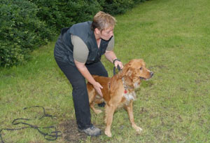 Foto: privat Artikelbild: Kritik am Berufsstand: "Österreich wird mit Hundetrainern überschwemmt, wobei oft vergessen
wird, wie viel Verantwortung in diesem Beruf liegt, speziell wenn es um
verhaltensauffällige Hunde geht." - Foto: privat