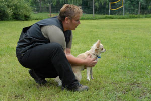 Foto: privat Artikelbild: "Um aktiv am Hund zu arbeiten, braucht man sowohl Theorie als auch
viel Praxis mit so vielen verschiedenen Hunden wie nur möglich", ist die Verhaltenstrainerin überzeugt. - Foto: privat