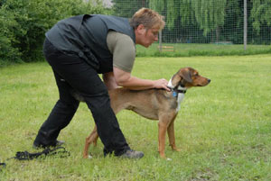 Foto: privat Artikelbild: "Für mich ist Hundeausbildung kein Kampf zwischen Mensch und Hund, das
wäre der falsche Weg. Ich sehe darin vor allem eine Zusammenarbeit
zwischen Halter, Trainer und Hund." - Foto: privat