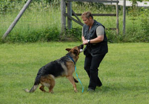 Foto: privat Artikelbild: "Jeder Hund ist anders, man kann da keine Schiene fahren, sondern muss
jedes Tier als eigenständiges Individuum betrachten und das Training
auf ihn abstimmen." - Foto: privat