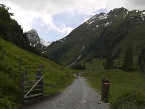 Artikelbild