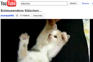 Artikelbild