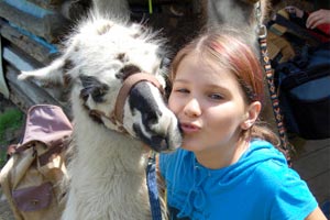 Artikelbild