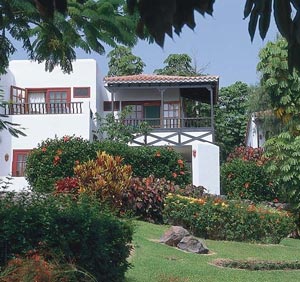 Unterkunft:In der Nähe des Flughafens, in Playa de Santiago, ist die Vier-Sterne-Hotelanlage Hotel Jardín Tecina, wo man günstig in einem Bungalow wohnen kann. Sie liegt am Meer, ist allerdings vom Urwald etwas entfernt. Auf La Gomera gibt es insgesamt nur rund ein Dutzend Hotels. Üblicher ist es, sich ein Appartement zu mieten. Für Urwald-Wanderer bieten sich dazu die Gemeinden Hermigua, Vallehermoso, Valle Gran Rey oder Agulo an. Sie liegen auf der nördlichen Hälfte der Insel und grenzen an den Garajonay-Nationalpark.
Hotels und Appartements:www.jardin-tecina.com Unterkunft:In der Nähe des Flughafens, in Playa de Santiago, ist die Vier-Sterne-Hotelanlage Hotel Jardín Tecina, wo man günstig in einem Bungalow wohnen kann. Sie liegt am Meer, ist allerdings vom Urwald etwas entfernt. Auf La Gomera gibt es insgesamt nur rund ein Dutzend Hotels. Üblicher ist es, sich ein Appartement zu mieten. Für Urwald-Wanderer bieten sich dazu die Gemeinden Hermigua, Vallehermoso, Valle Gran Rey oder Agulo an. Sie liegen auf der nördlichen Hälfte der Insel und grenzen an den Garajonay-Nationalpark.
Hotels und Appartements:www.jardin-tecina.com