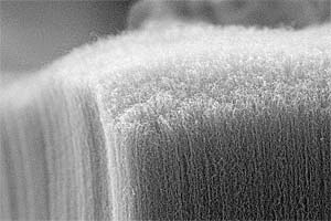 Blick auf die Nano-Tubes, hundertmal näher herangezoomt als die Abbildung oben. 