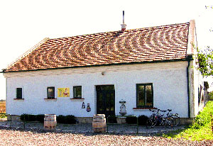 Artikelbild
