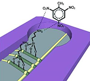 Der neue Sensor für Explosivstoffe baut auf dem Prinzip eines Nano-Feldeffekt-Transistors auf. Der neue Sensor für Explosivstoffe baut auf dem Prinzip eines Nano-Feldeffekt-Transistors auf.
