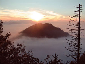 Informationen: Nationalparkregion Ennstal & Steyrtal Informationen: Nationalparkregion Ennstal & Steyrtal