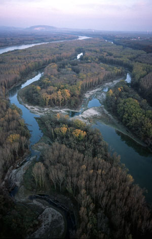 Ein Ziel der Flussbaumaßnahmen ist auch die Anbindung an die Donau und dadurch die bessere Durchflutung von Seitenarmen. Im Bild: Das heutige Ergebnis eines Pilotprojekts bei Haslau, das bereits 1998 fertiggestellt wurde. Ein Ziel der Flussbaumaßnahmen ist auch die Anbindung an die Donau und dadurch die bessere Durchflutung von Seitenarmen. Im Bild: Das heutige Ergebnis eines Pilotprojekts bei Haslau, das bereits 1998 fertiggestellt wurde.