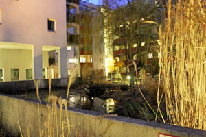 In der Siedlung gibt es viele Möglichkeiten für gemeinsame Aktivitäten. Auch der Schilfteich, zentral im Innenhof gelegen, wird zum Beispiel von Freiwilligen gemeinsam gepflegt.