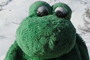 Das Leben als reisender Frosch kann ziemlich kompliziert sein.