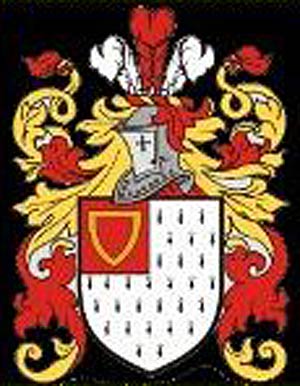 www.thesurteesarms.co.uk