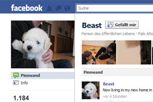Mark Zuckerbergs Hund Beast hat nun auch eine eigene Facebook-Seite. Artikelbild