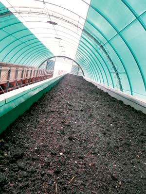 Auf der Regenwurmfarm entsteht der Bio-Humus.