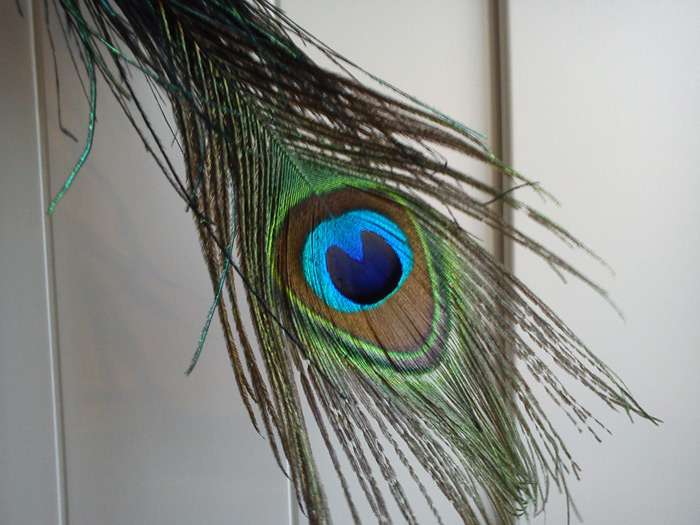 Artikelbild