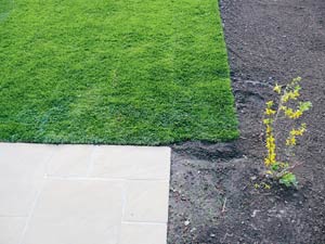 Langsam entwickelt sich der Garten. Platsch, da rollt der Rasen drüber. Langsam entwickelt sich der Garten. Platsch, da rollt der Rasen drüber.