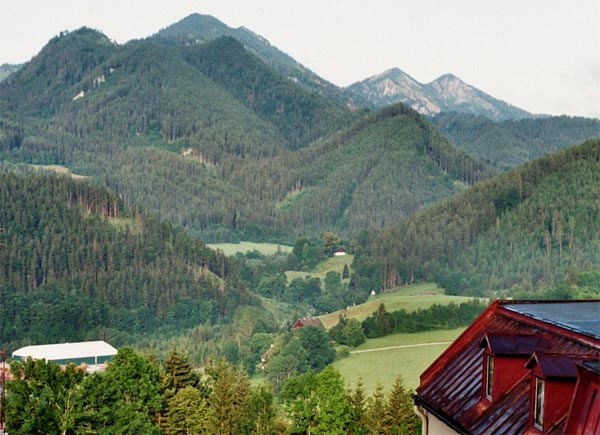Artikelbild