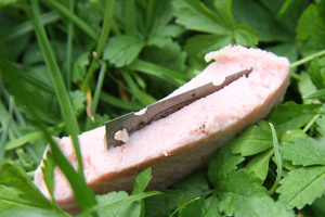 Solche Giftköder wurden zwar noch nicht gefunden, werden aber von der Plattform giftwarkarte.info verwendet, um auf die Problematik hinzuweisen. Solche Giftköder wurden zwar noch nicht gefunden, werden aber von der Plattform giftwarkarte.info verwendet, um auf die Problematik hinzuweisen.